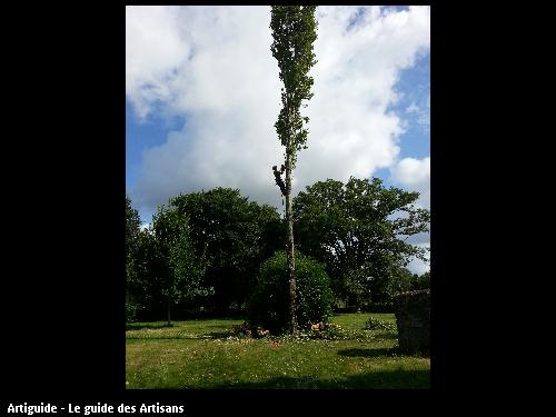 Brière Environnement