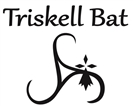 TRISKELL BAT terrassement