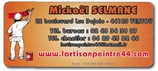 SELMANE RENOVATION (EX : MICHAEL SELMANE) - peintre en batiment - VERTOU 44120